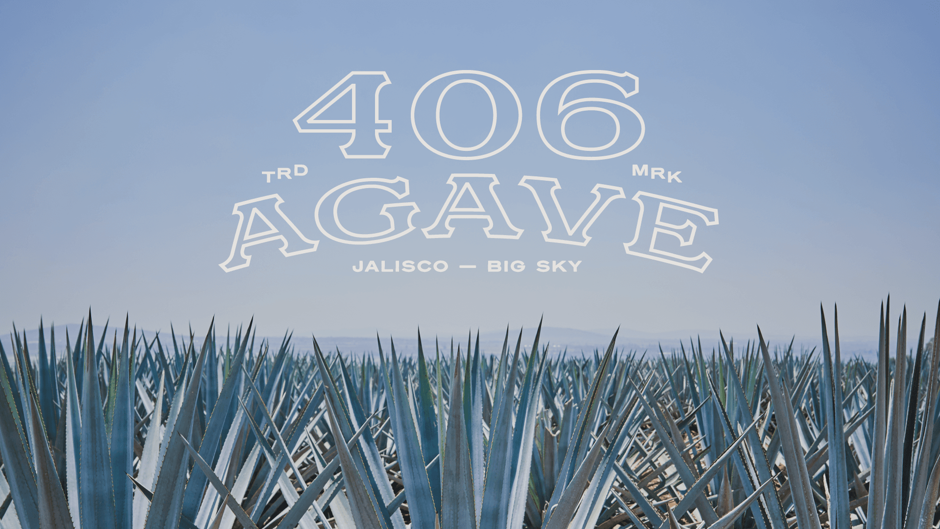 406 Agave