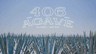406 Agave