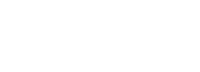 5 Sentidos