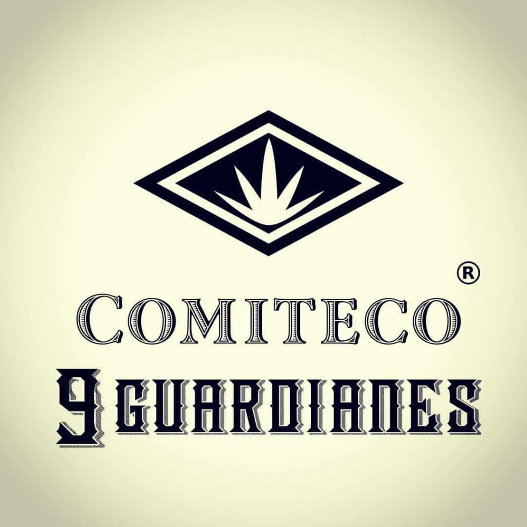 9 Guardianes
