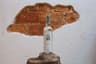 Agave de Cortes