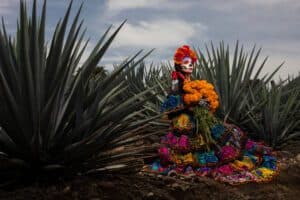 AgaveLuz Tequila