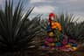 AgaveLuz Tequila