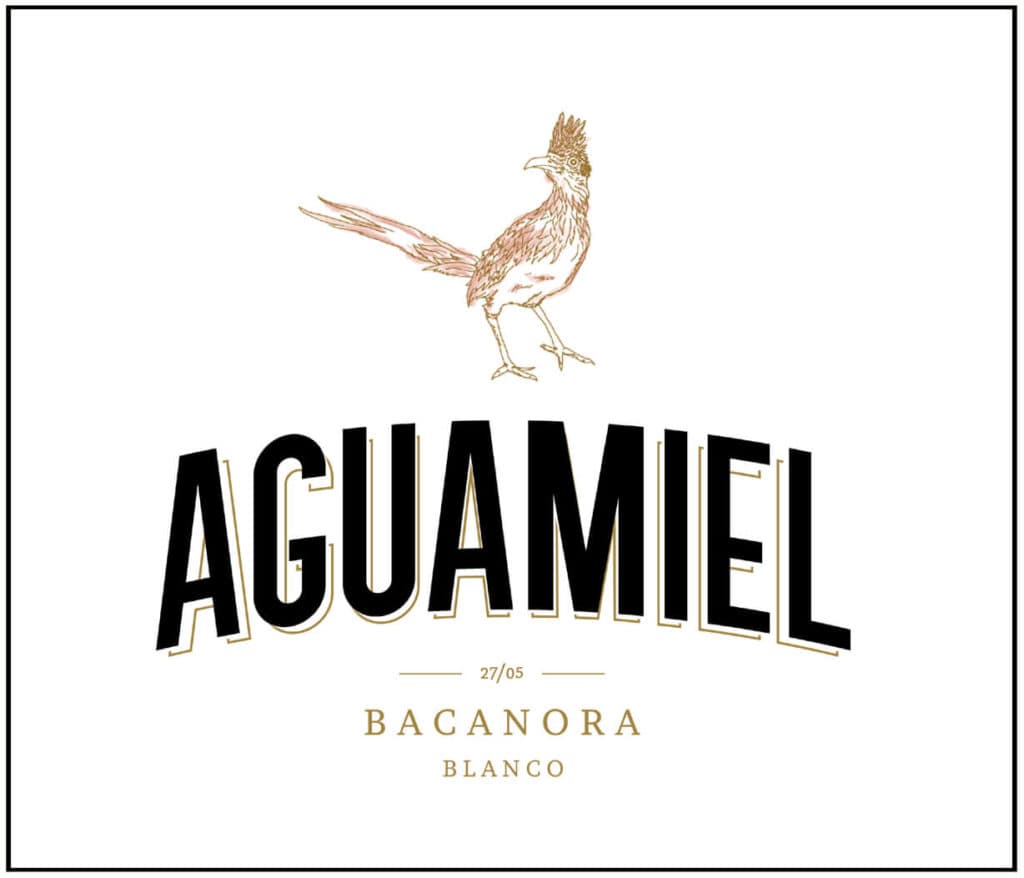 Aguamiel