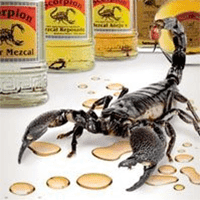 Alacrán Mezcal
