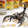 Alacrán Mezcal