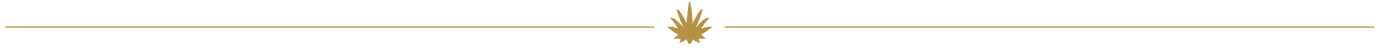 Aldez Organic Tequila