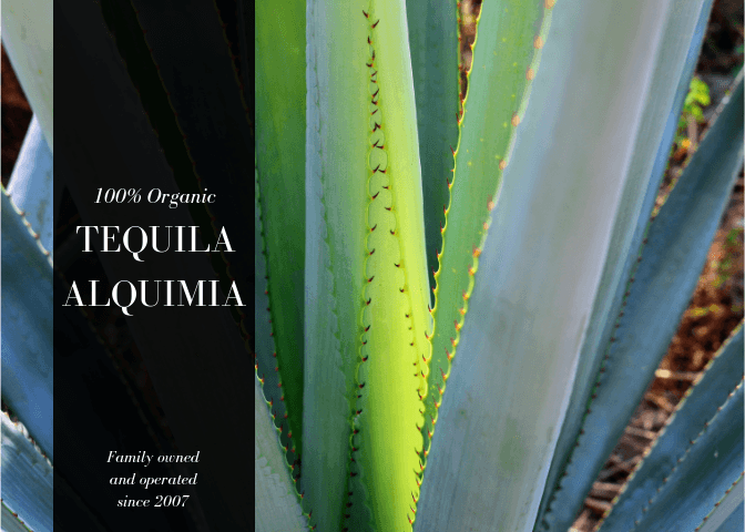 Alquimia