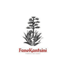 Fanekantsini