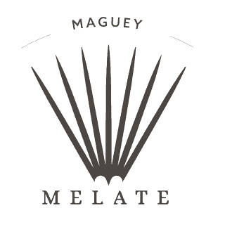 Maguey Melate