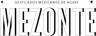 Mezonte