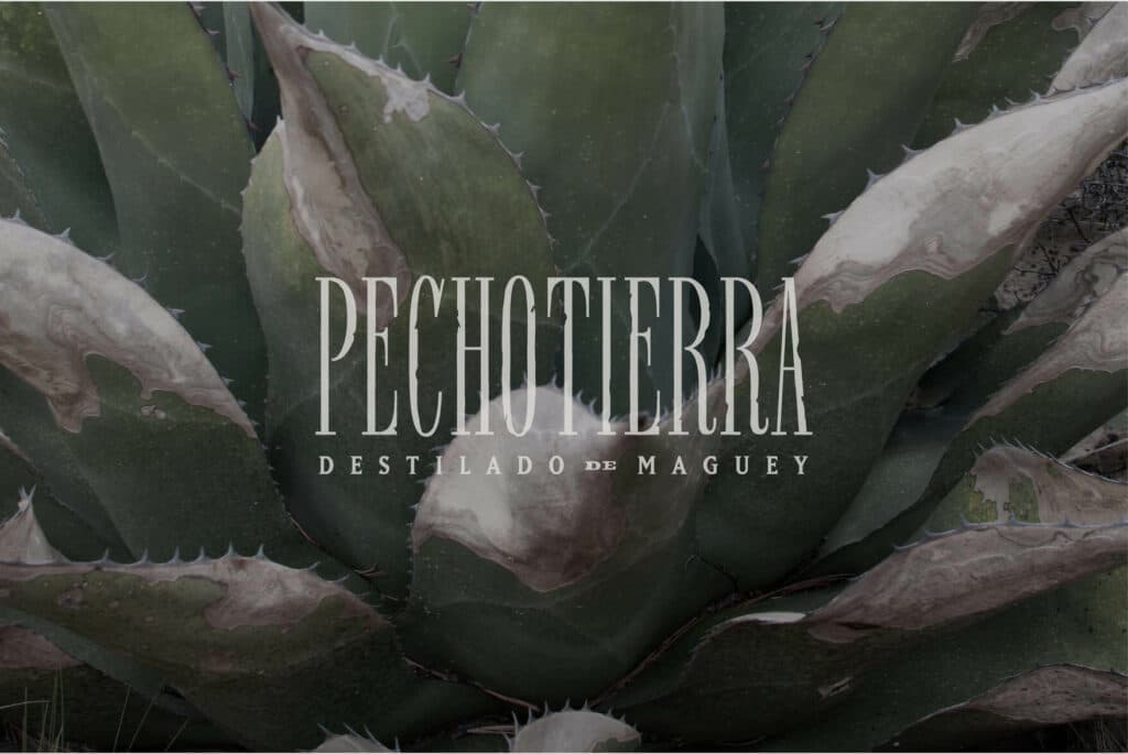 Pechotierra