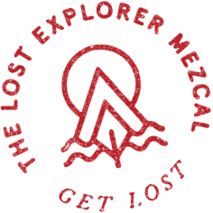 The Lost Explorer