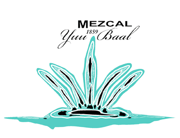 Yuu Baal Mezcal
