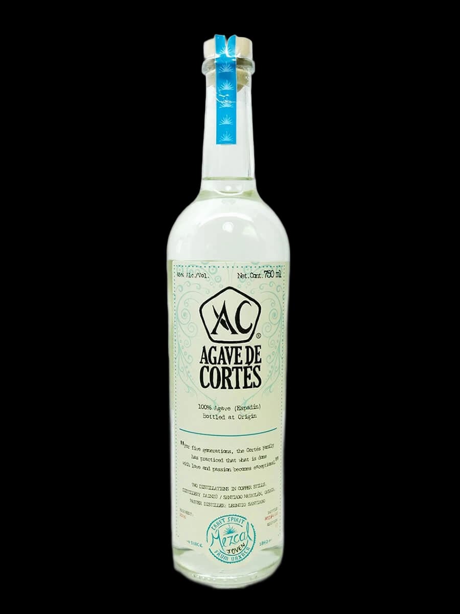 Agave de Cortes Joven