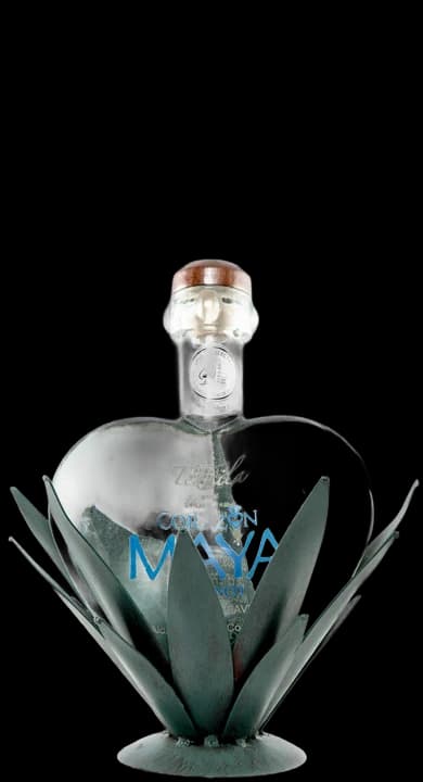 Corazon Maya Libertad