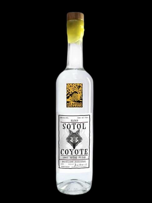 Coyote Sotol Durango
