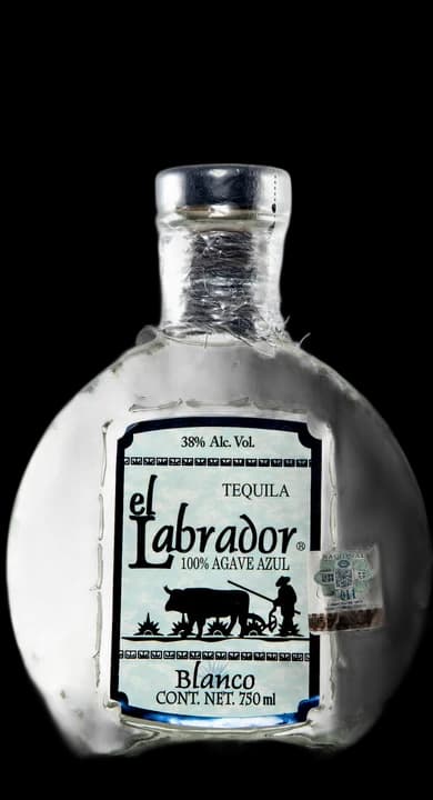El Labrador Blanco