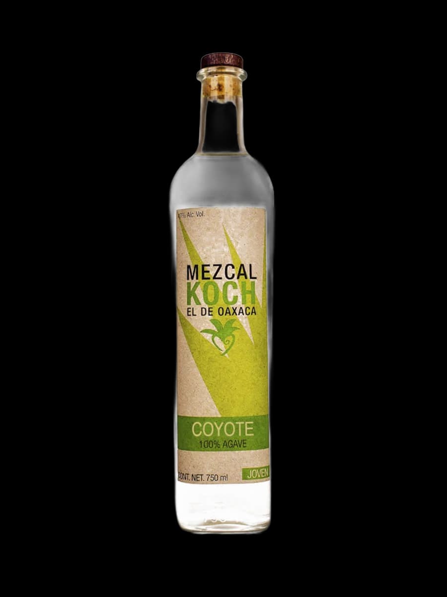 Koch Coyote