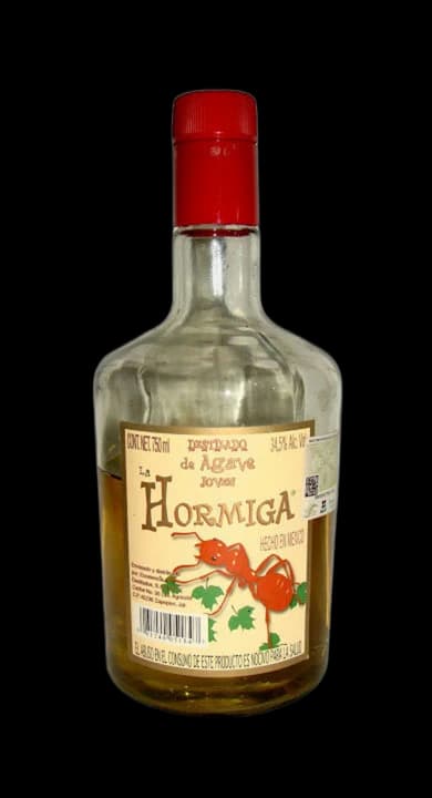 La Hormiga Joven