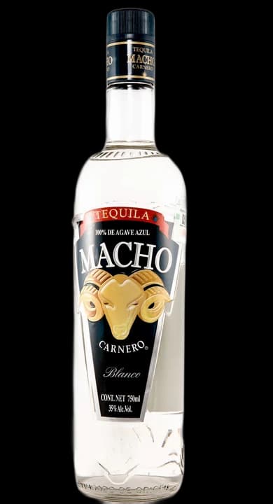 Macho Carnero Blanco