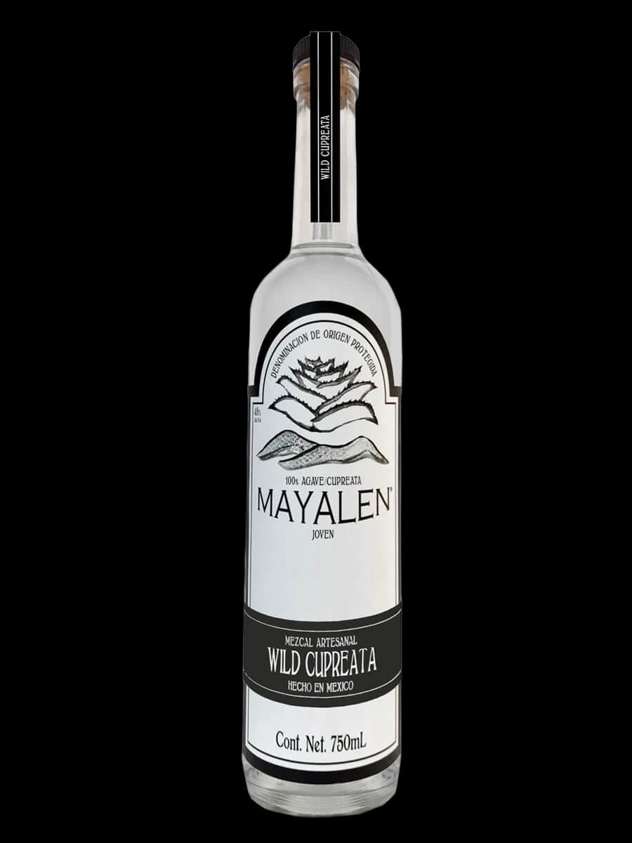 Mayalen Wild Cupreata