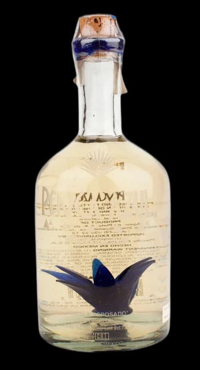Penca Azul Reposado