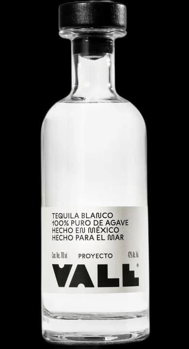Proyecto VALE Blanco