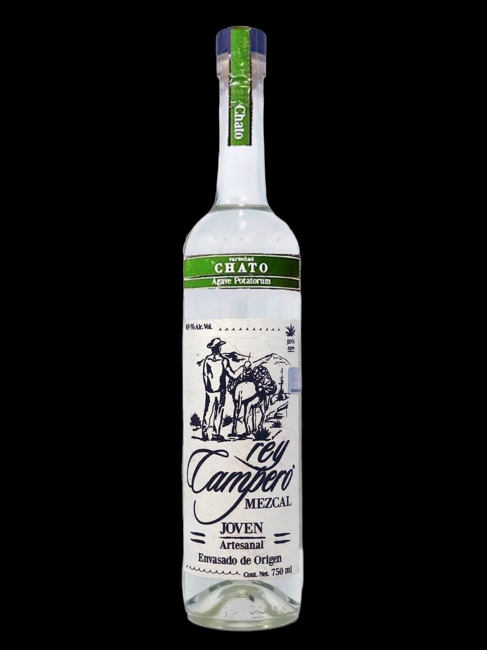 Rey Campero Chato