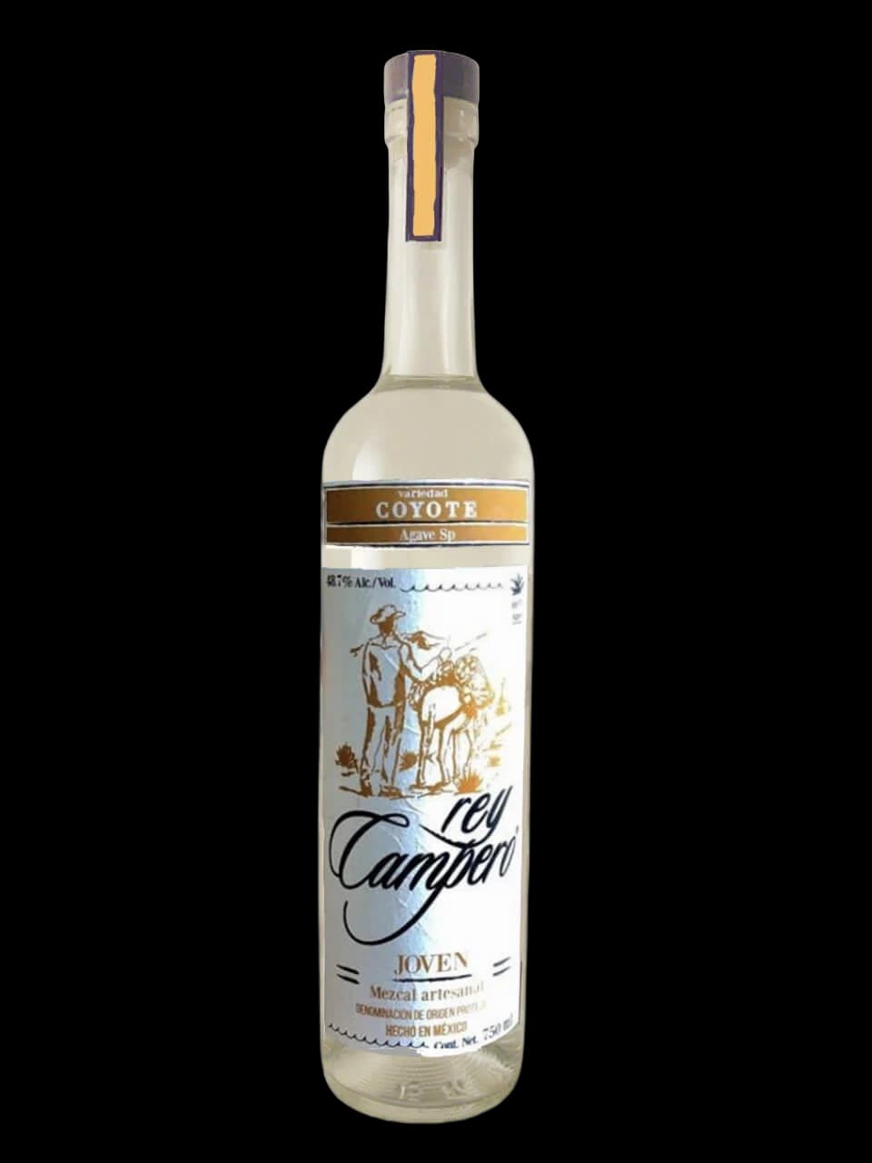 Rey Campero Coyote