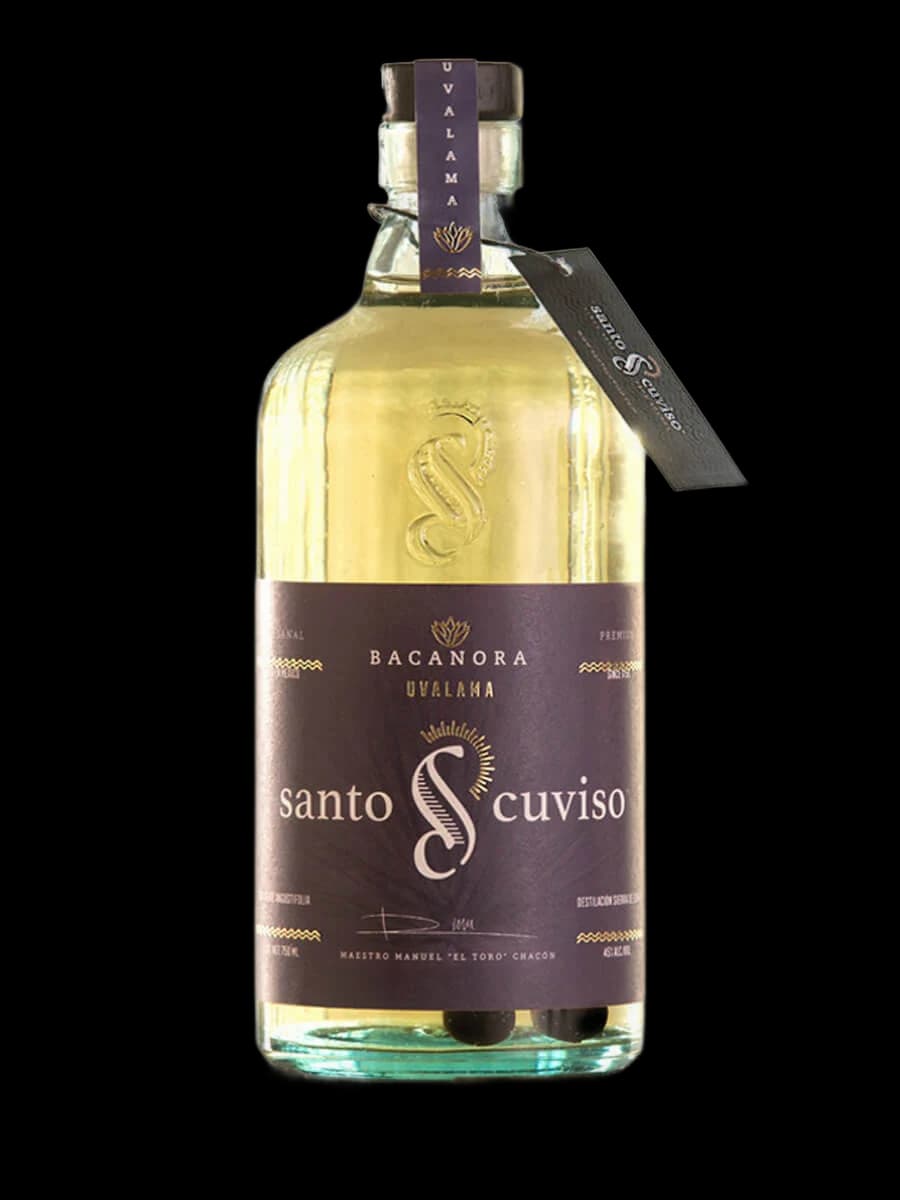 Santo Cuviso Uvalama