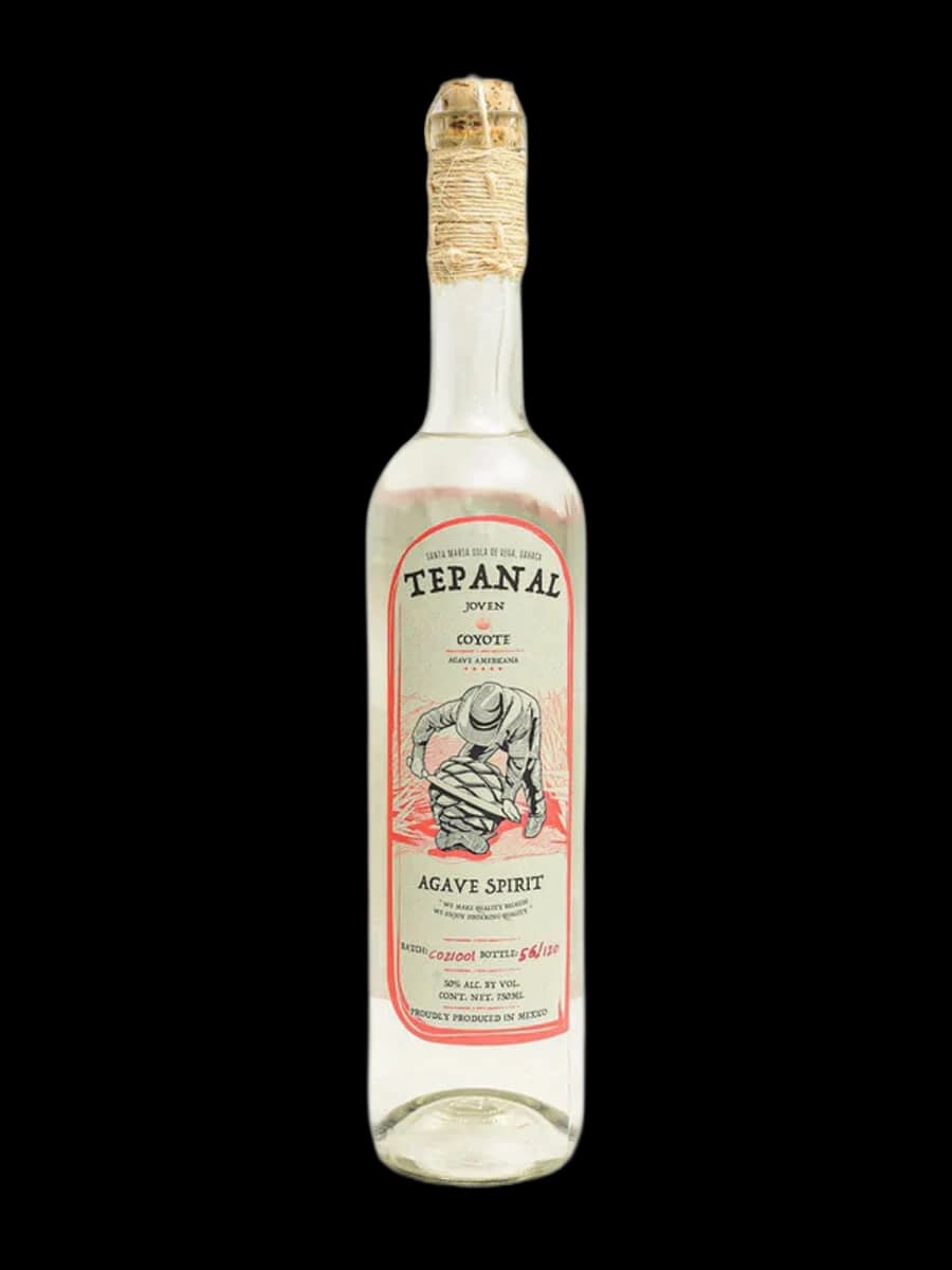 Tepanal Coyote