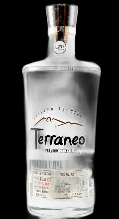 Terraneo Silver