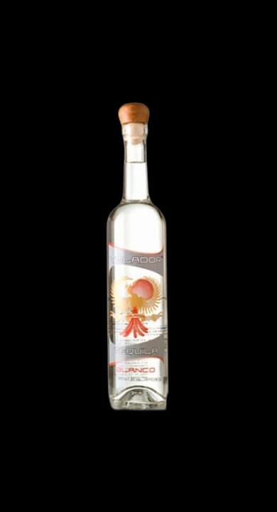 Volador Blanco