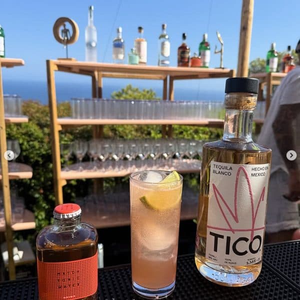 Mezcal cocktail preparation