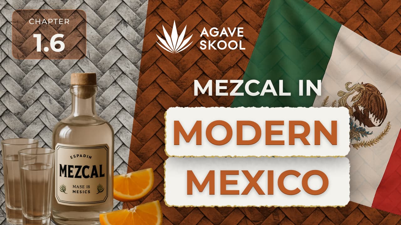 1.6 - Mezcal In Modern Mexico