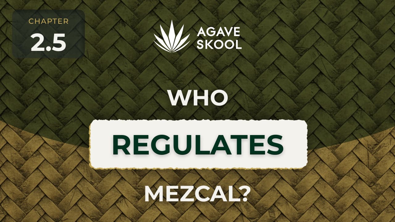 2.5 - Who Regulates Mezcal?