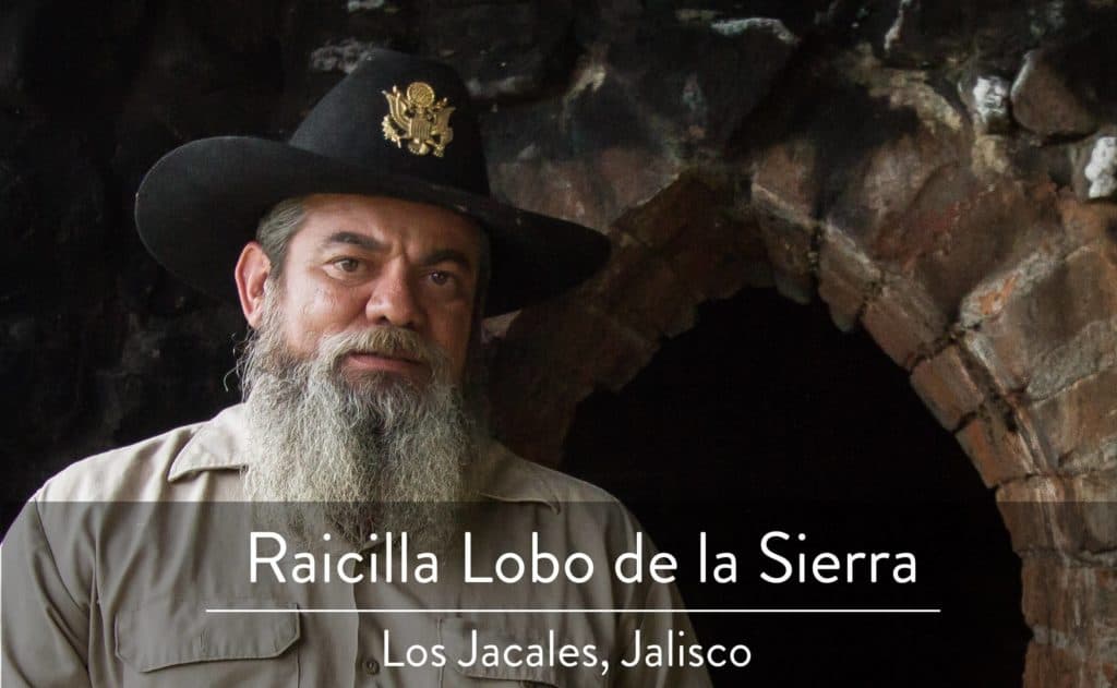Lobo de la Sierra Raicilla