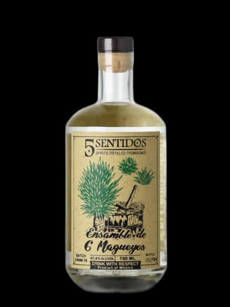 5 Sentidos Ensamble de 6 Magueyes