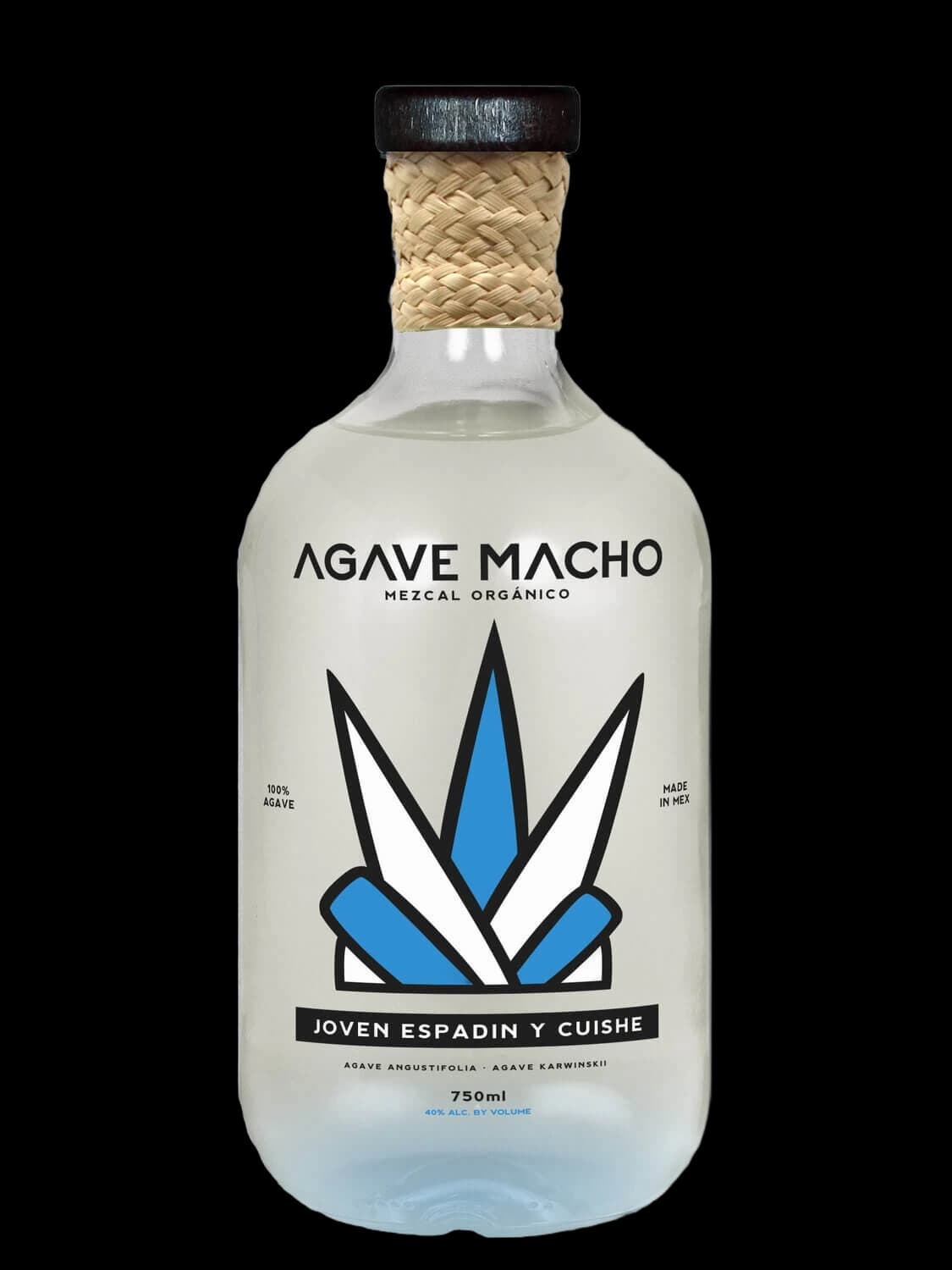 Agave Macho Espadin-Cuishe Joven