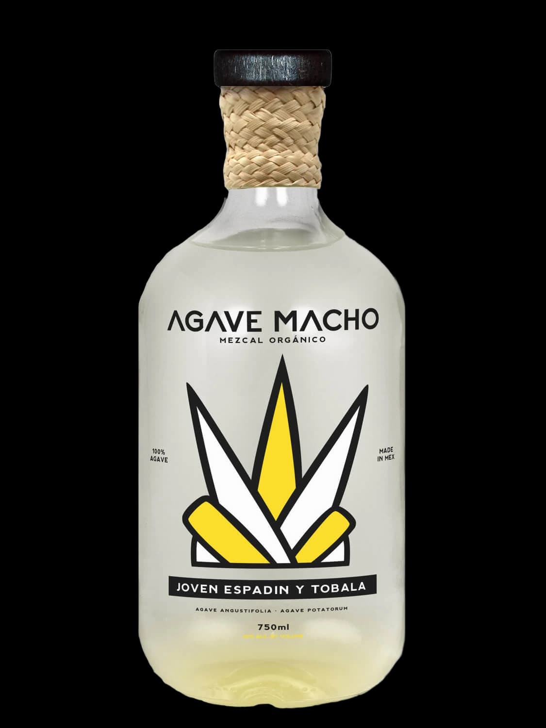 Agave Macho Espadin-Tobala