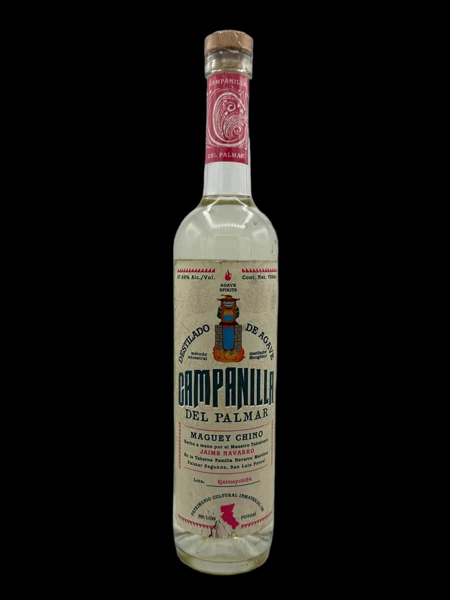 Campanilla del Palmar Chino – Jaime Navarro