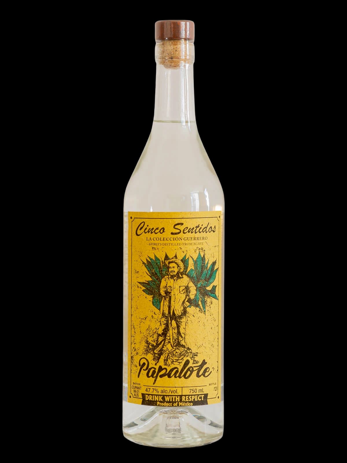 Cinco Sentidos Papalote – Sonido