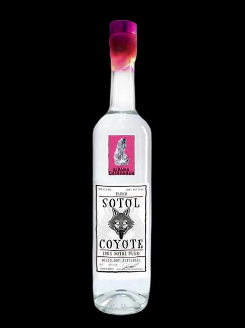 Coyote Sotol Chihuahua