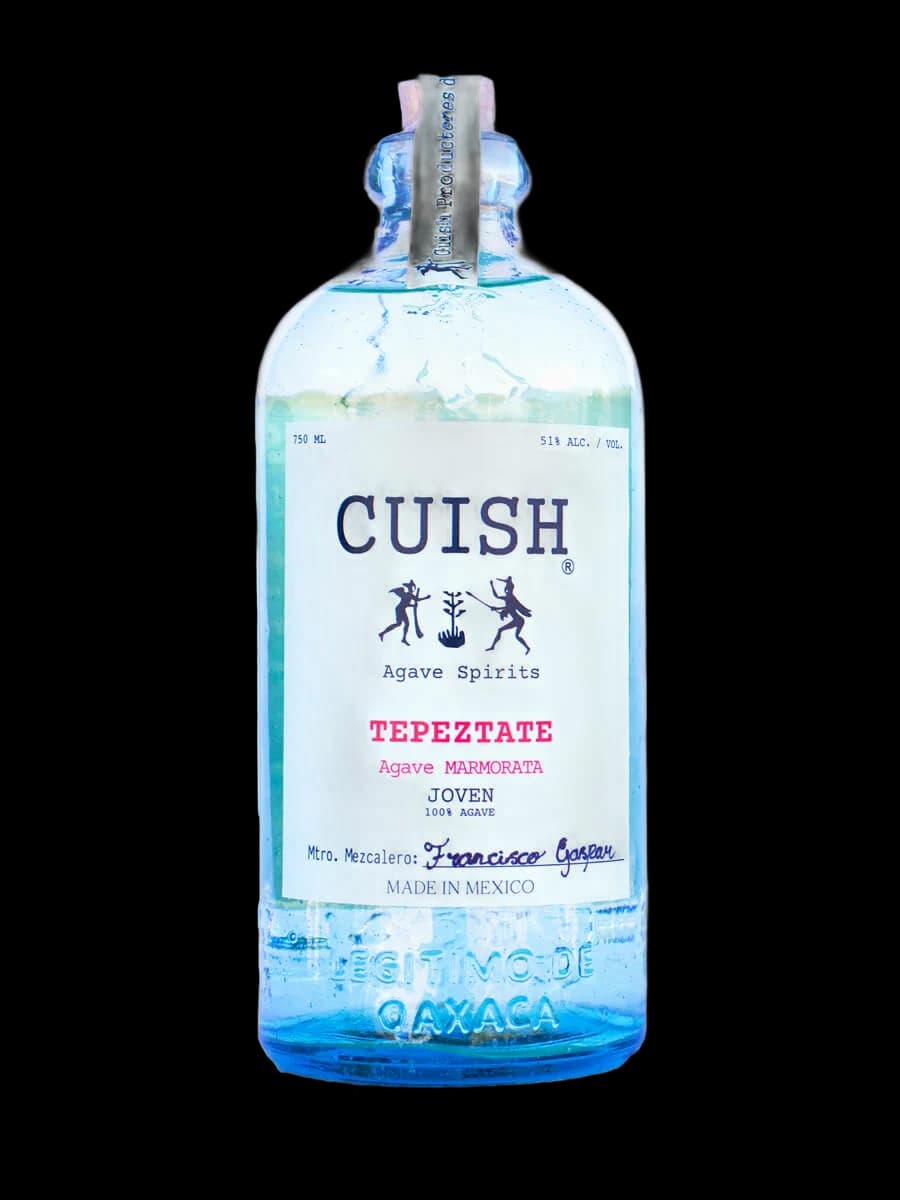 Cuish Tepeztate – Fransisco Gaspar
