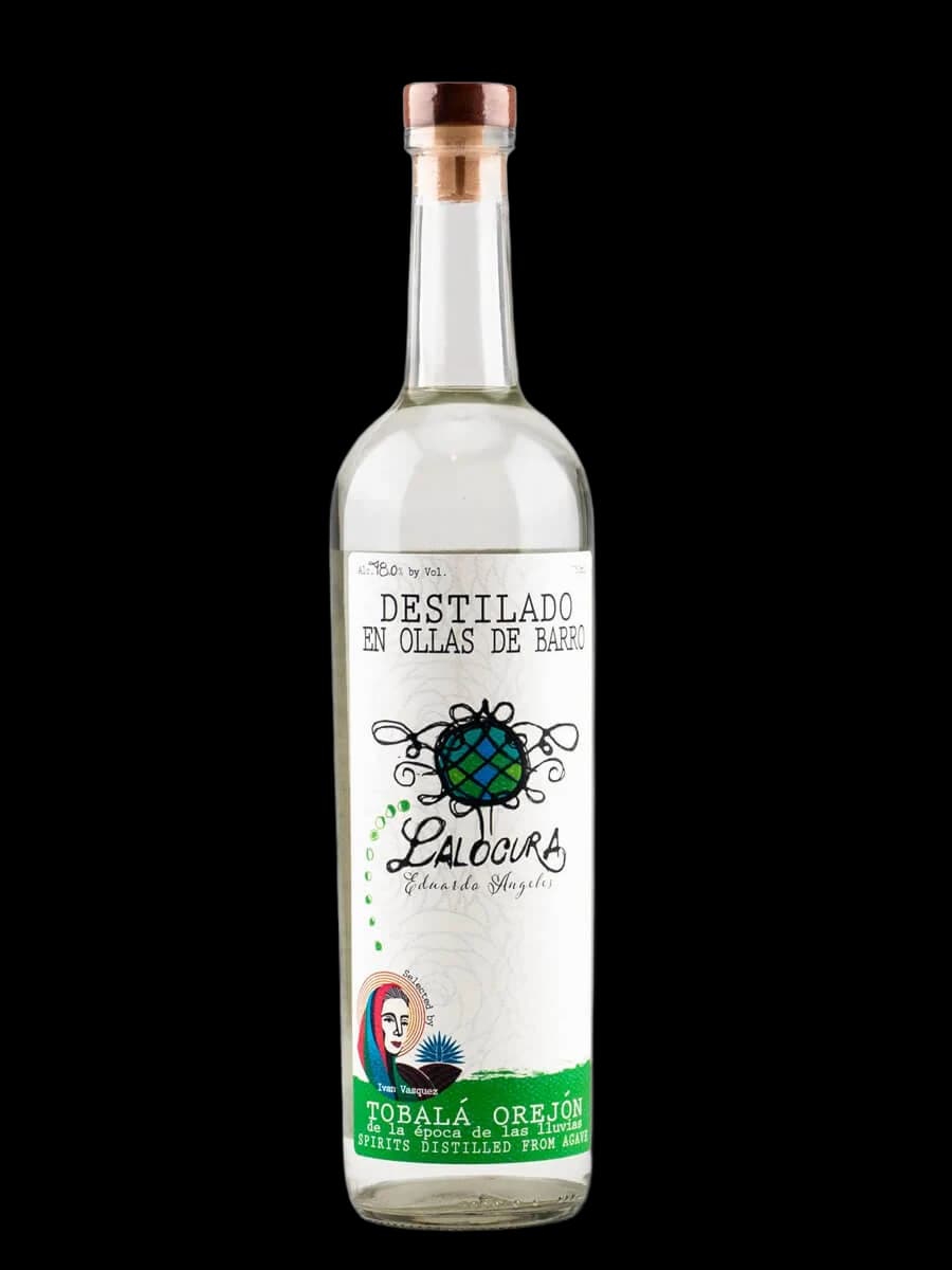 Lalocura Tobalà Orejòn de la època de las lluvias