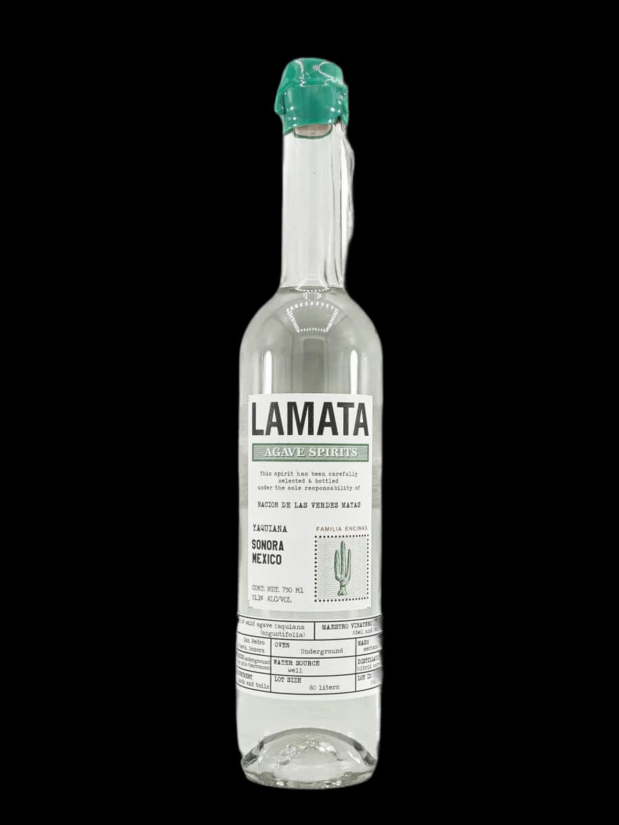 Lamata Yaquiana Sonora – Abel and Genaro Encinas by Lamata