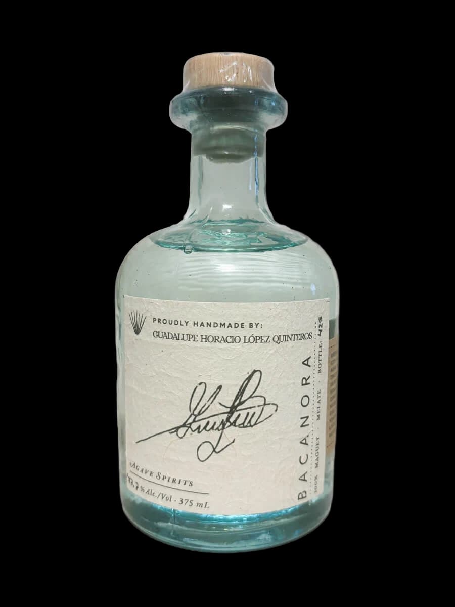 Maguey Melate Bacanora – Guadalupe Horacio López Quinteros