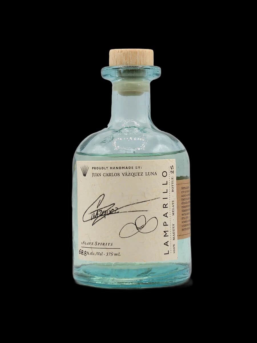 Maguey Melate Lamparillo – Juan Carlos Vasquez Luna