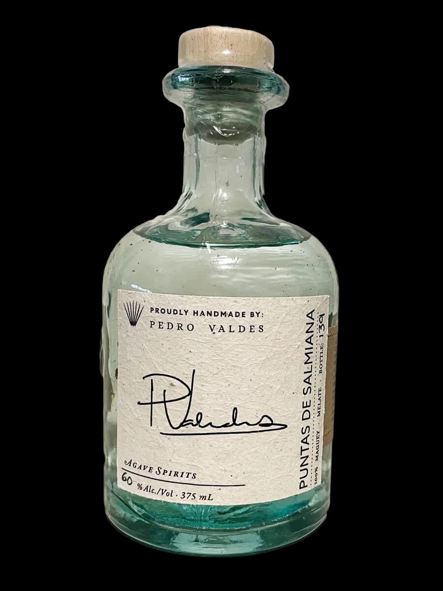 Maguey Melate Puntas de Salmiana – Pedro Valdes